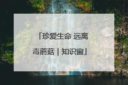 珍爱生命 远离毒蘑菇｜知识窗