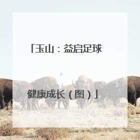 玉山：益启足球 健康成长（图）