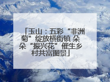 玉山：五彩“非洲菊”绽放横街镇 朵朵“振兴花”催生乡村共富图景