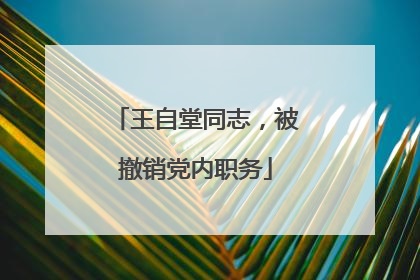 王自堂同志，被撤销党内职务
