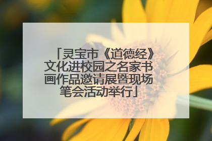 灵宝市《道德经》文化进校园之名家书画作品邀请展暨现场笔会活动举行