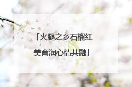 火腿之乡石榴红 美育润心情共融