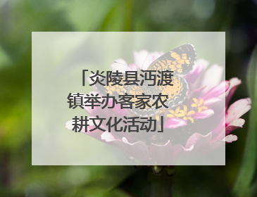 炎陵县沔渡镇举办客家农耕文化活动
