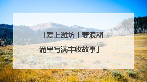 爱上潍坊丨麦浪翻涌里写满丰收故事