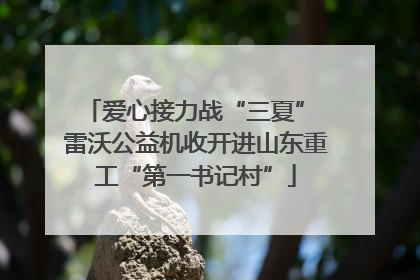 爱心接力战“三夏” 雷沃公益机收开进山东重工“第一书记村”