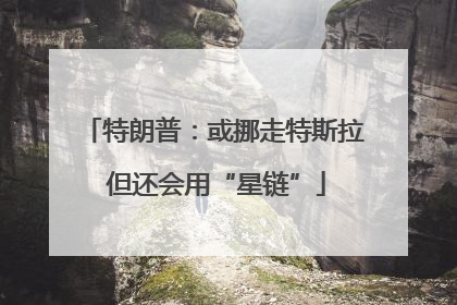 特朗普：或挪走特斯拉 但还会用“星链”