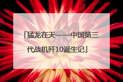 猛龙在天——中国第三代战机歼10诞生记