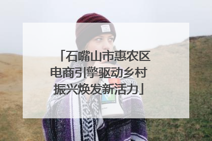 石嘴山市惠农区电商引擎驱动乡村振兴焕发新活力