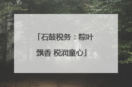 石鼓税务：粽叶飘香 税润童心