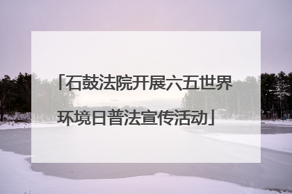 石鼓法院开展六五世界环境日普法宣传活动