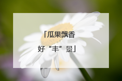 瓜果飘香 好“丰”景