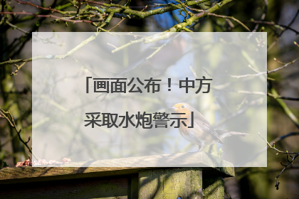 画面公布！中方采取水炮警示