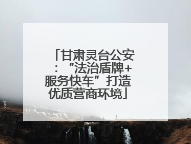甘肃灵台公安：“法治盾牌+服务快车”打造优质营商环境
