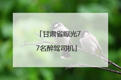 甘肃省曝光77名醉驾司机