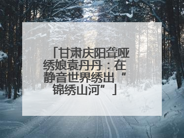 甘肃庆阳聋哑绣娘袁丹丹：在静音世界绣出“锦绣山河”