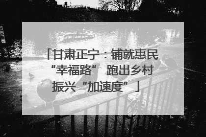 甘肃正宁：铺就惠民“幸福路” 跑出乡村振兴“加速度”