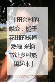 田兴村的蜕变：栀子花田的杨梅熟啦 采摘节让乡村热闹起来