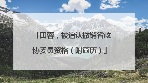 田蓉，被追认撤销省政协委员资格（附简历）