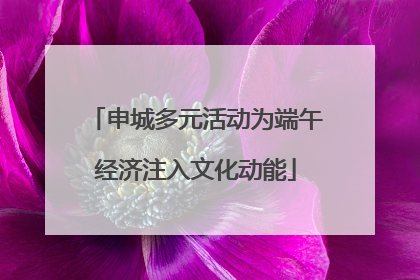 申城多元活动为端午经济注入文化动能