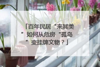 百年民居“来其美”如何从危房“孤岛”变挂牌文物？