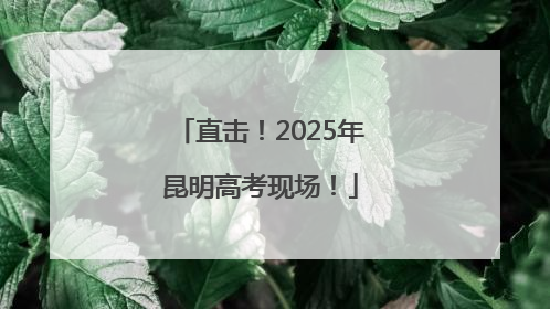 直击！2025年昆明高考现场！
