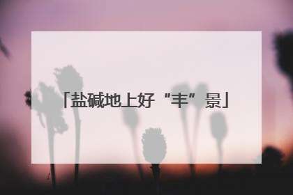 盐碱地上好“丰”景
