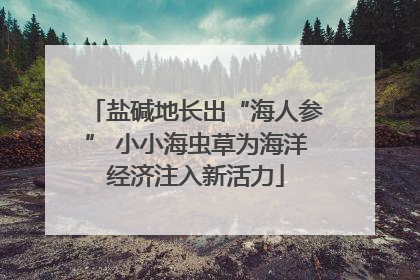 盐碱地长出“海人参” 小小海虫草为海洋经济注入新活力