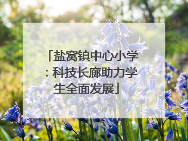 盐窝镇中心小学：科技长廊助力学生全面发展