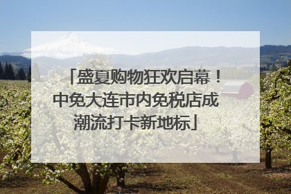 盛夏购物狂欢启幕！中免大连市内免税店成潮流打卡新地标