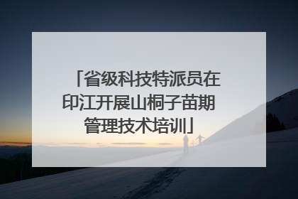 省级科技特派员在印江开展山桐子苗期管理技术培训