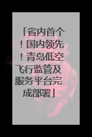 省内首个！国内领先！青岛低空飞行监管及服务平台完成部署