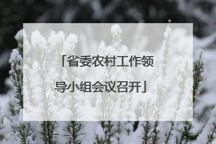 省委农村工作领导小组会议召开
