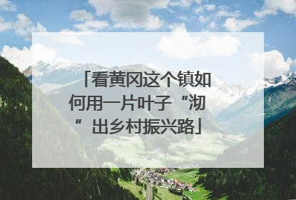 看黄冈这个镇如何用一片叶子“沏”出乡村振兴路