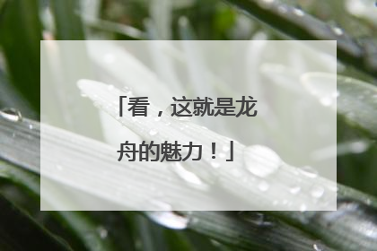看，这就是龙舟的魅力！