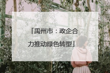 禹州市：政企合力推动绿色转型