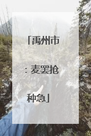 禹州市：麦罢抢种急