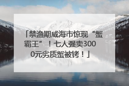 禁渔期威海市惊现“蟹霸王”！七人强卖3000元劣质蟹被铐！