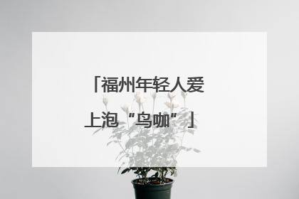 福州年轻人爱上泡“鸟咖”