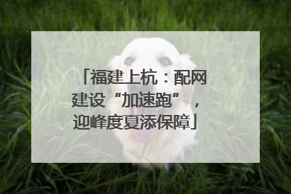 福建上杭：配网建设“加速跑”，迎峰度夏添保障