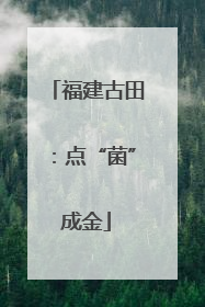 福建古田：点“菌”成金