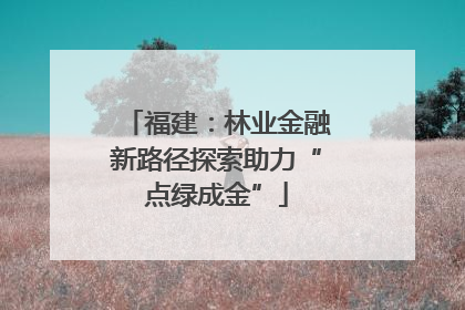 福建：林业金融新路径探索助力“点绿成金”
