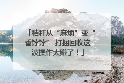 秸秆从“麻烦”变“香饽饽” 打捆回收这波操作太赚了！