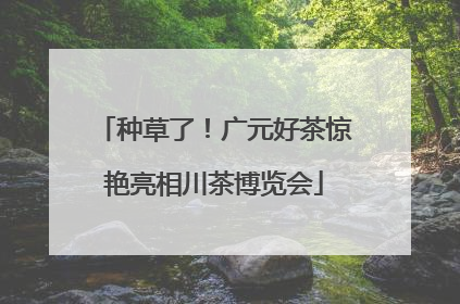 种草了！广元好茶惊艳亮相川茶博览会
