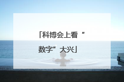 科博会上看“数字”大兴