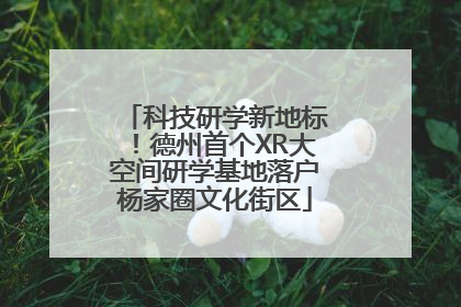 科技研学新地标！德州首个XR大空间研学基地落户杨家圈文化街区