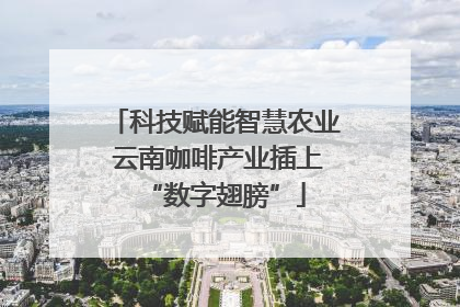 科技赋能智慧农业 云南咖啡产业插上“数字翅膀”