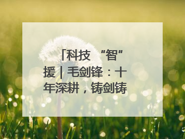 科技 “智”援｜毛剑锋：十年深耕，铸剑铸造创新之路