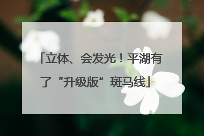 立体、会发光！平湖有了“升级版”斑马线
