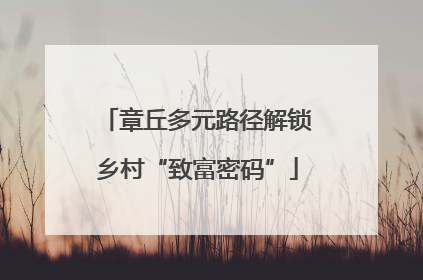 章丘多元路径解锁乡村“致富密码”