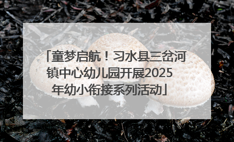 童梦启航！习水县三岔河镇中心幼儿园开展2025年幼小衔接系列活动